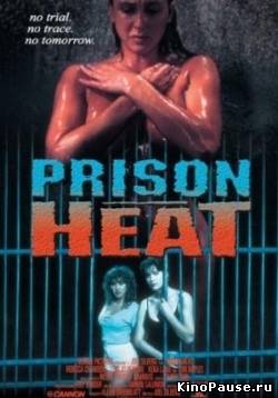 Тюремная жара / Prison Heat (1993)