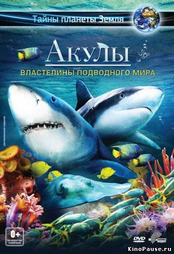 Акулы 3D: Властелины подводного мира / Sharks 3D: Kings of the Ocean (2013)
